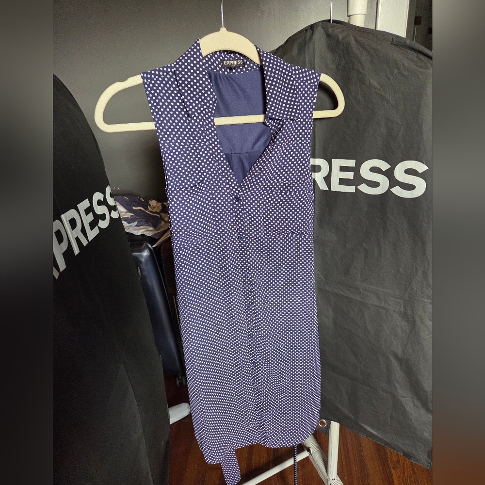 Express Navy and White Sleeveless Dress